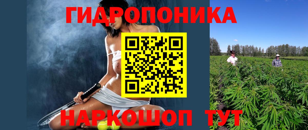 Канабис White Widow  Бошки Шишки Bruce Banner  Можга  Каннабис White Widow  МАРИХУАНА Amnesia  Вход с VPN 